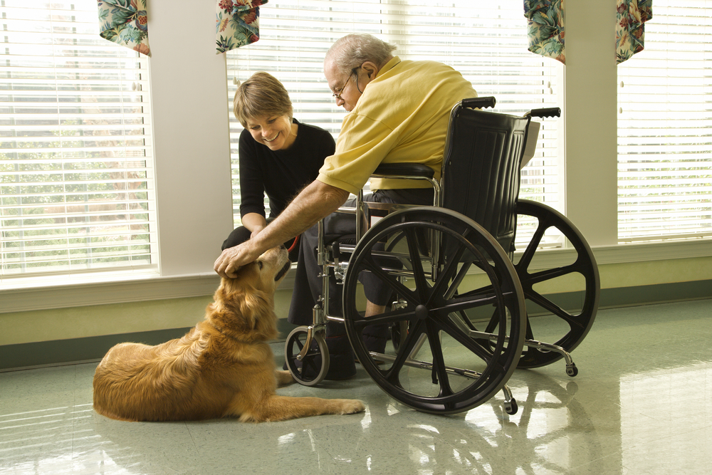 elderly man in wheelchair petting a dog