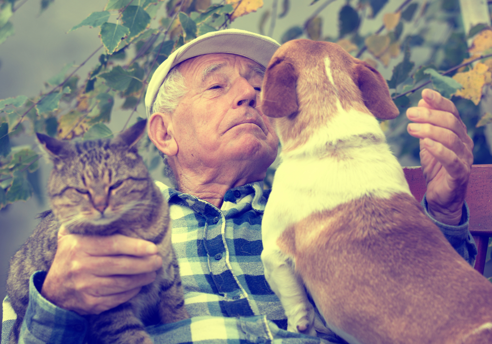 old man with his cat and dog