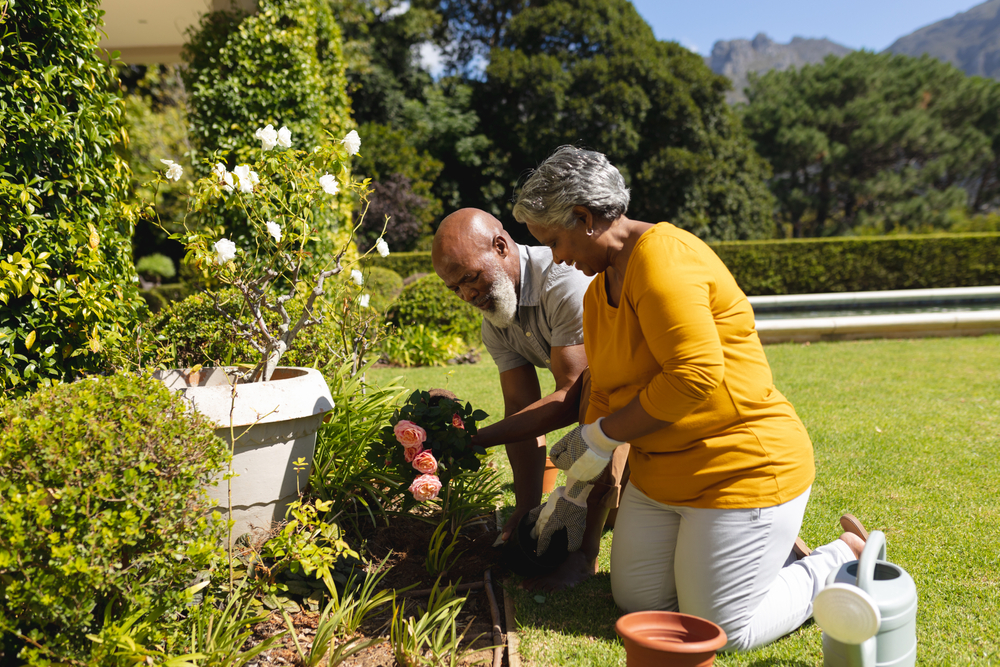 senior couple working on their garden