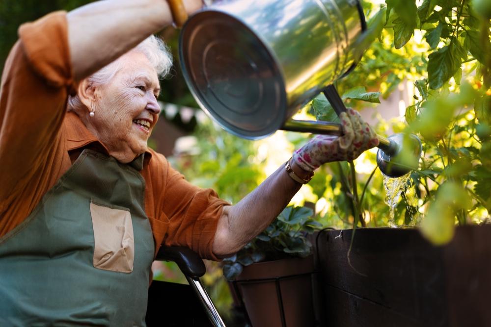 Senior woman watering garden outside